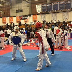 Team Dragons Taekwondo