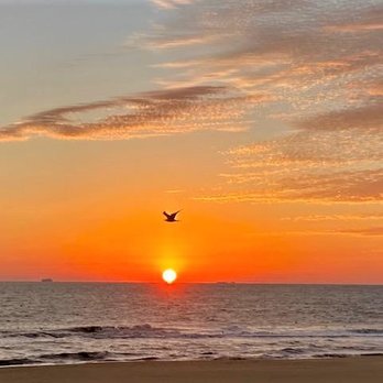 Hampton Inn Virginia Beach-Oceanfront North - Woke up to this perfect sunrise - Hotels Near Me - Virginia Beach, Virginia Hampton Inn Virginia Beach-Oceanfront North - Woke up to this perfect sunrise - Hotels Near Me - Virginia Beach, Virginia