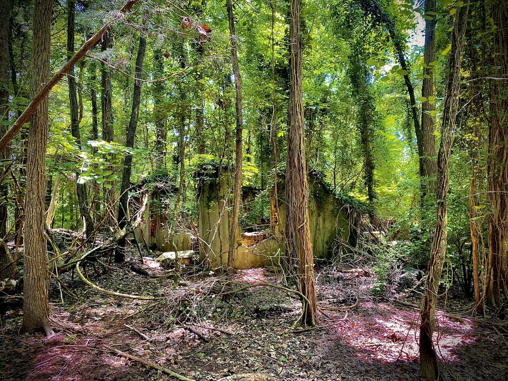 CARHARTT MANSION RUINS Updated October 2024 34 Photos Piedmont