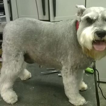 Grooming by Stephanie - Pet Groomers Near Me - Turlock, California