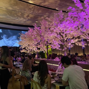 Paperfish Sushi - Interior - Sushi Bars Near Me - Miami, Florida