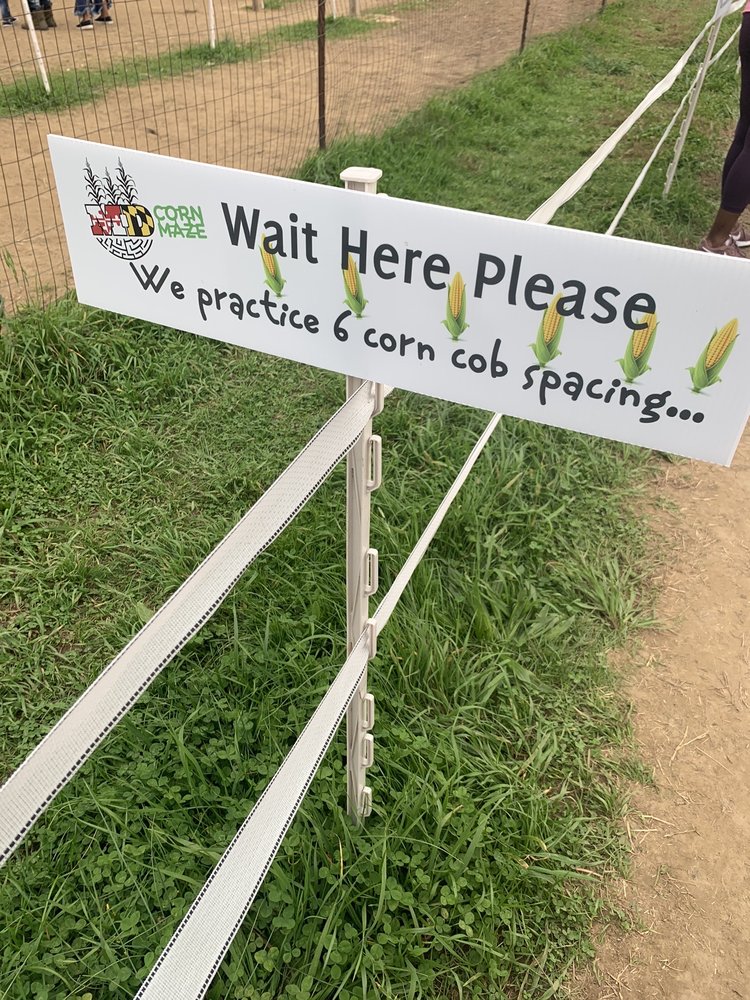 THE MARYLAND CORN MAZE 46 Photos & 17 Reviews 389 Gambrills Rd