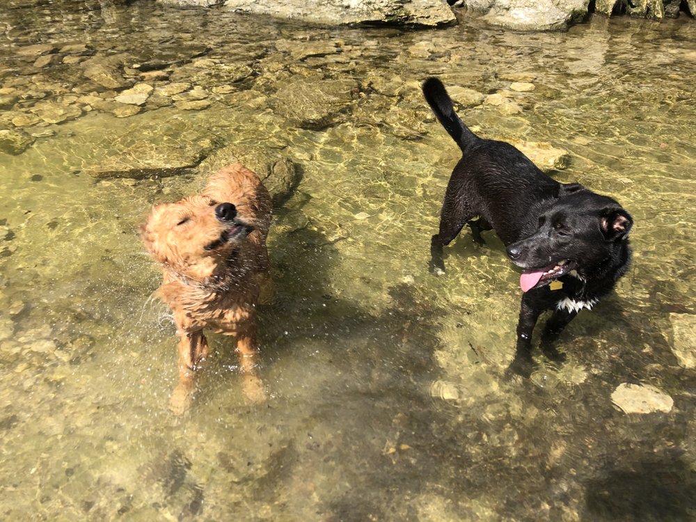 ULTIMUTT ADVENTURES Updated June 2024 47 Photos Austin, Texas