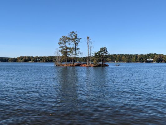 Lake Norman State Park by null