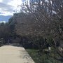 Photo of Campus de Ciencias Biológicas y Agropecuarias UADY