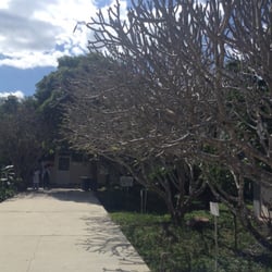 Campus de Ciencias Biológicas y Agropecuarias UADY - Distintos tipos de vegetación podrás ver en tu visita al CCBA