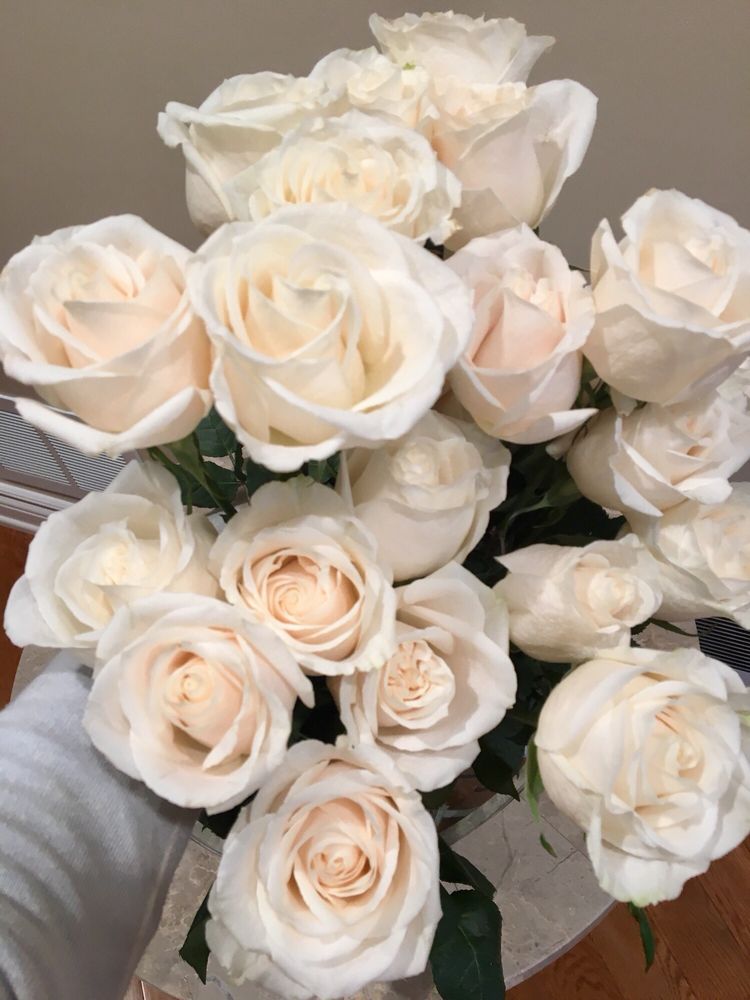 CLASSY FLOWERS Updated August 2024 20 Staffern Drive, Vaughan