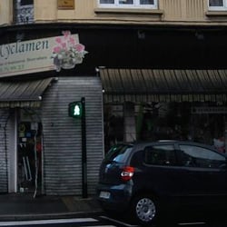 Au Cyclamen