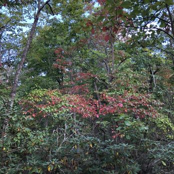 Hanging Rock State Park - Parks Near Me - Westfield, North Carolina