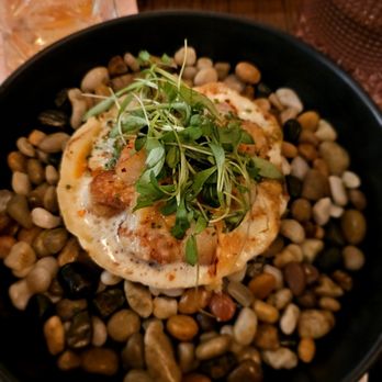 Joy by Seven Reasons - Scallops - Latin American Near Me - Chevy Chase, Maryland Joy by Seven Reasons - Scallops - Latin American Near Me - Chevy Chase, Maryland