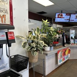 California Burgers And Deli - Fun plants