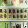 Photo of Tokyo Teriyaki & Burgers