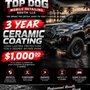 Top Dog Mobile Detailing South