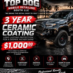 Top Dog Mobile Detailing South - All The work done at your home or office
