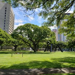 FRANK F FASI CIVIC CENTER - 249 Photos - 530-650 S King St, Honolulu