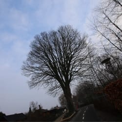 Den Grønne Sti