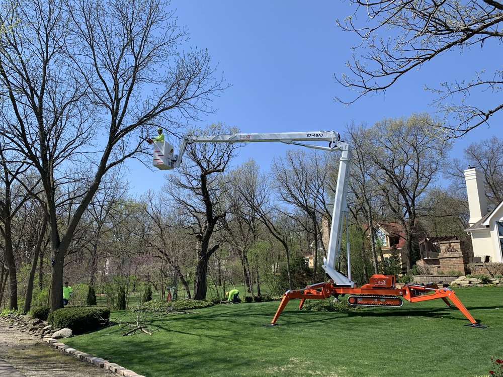 Cesar Tree Service - tree service in Crystal Lake, IL