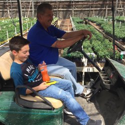 Altman Specialty Plant's - My boy couldn't walk anymore