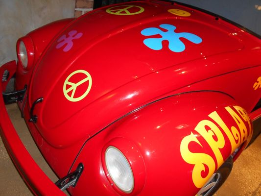 Audubon Insectarium by null