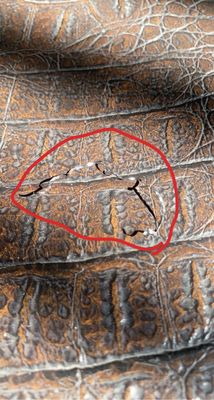 Mariscos & Birria El Prieto by null