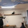 Photo of MeWow Cat Cafe