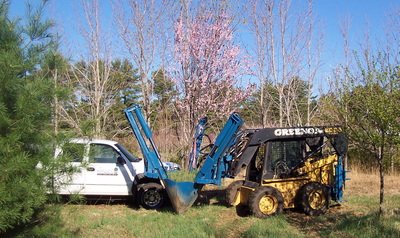 Greeno Tree Spade Service - tree service in Hudson, NH