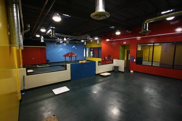 pampered pet hotel & spa