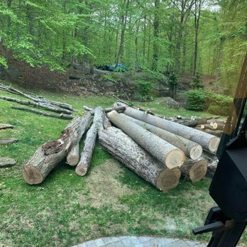 Elquin Tree Service - Tree Services Near Me Elquin Tree Service - Tree Services Near Me
