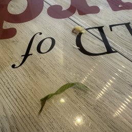 Gross lettuce