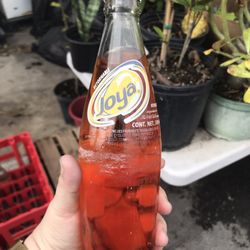 Valley Star Fruits & More - Peach flavored Joya