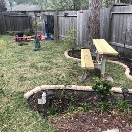 Great quality St Augustine sod from Grass Store in Conroe.