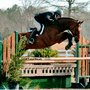 Photo of Foxcroft Farm Equestrian Center