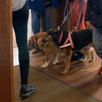 Turning Point - Dogs - Breakfast & Brunch Near Me - Cherry Hill, New Jersey Turning Point - Dogs - Breakfast & Brunch Near Me - Cherry Hill, New Jersey