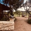Lara Vineyard gift card