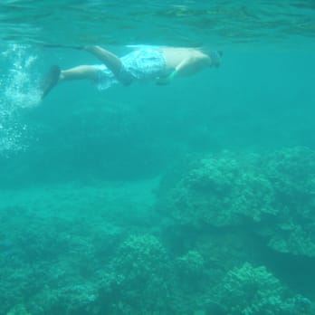 Kapalua Beach - Dun dun....dun dun... - Beaches Near Me - Lahaina, Hawaii Kapalua Beach - Dun dun....dun dun... - Beaches Near Me - Lahaina, Hawaii