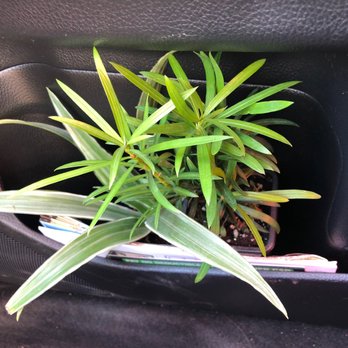 Plant Garage - Home Decor Near Me - Denver, Colorado