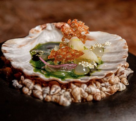 Stubborn Seed - Miami Beach by null