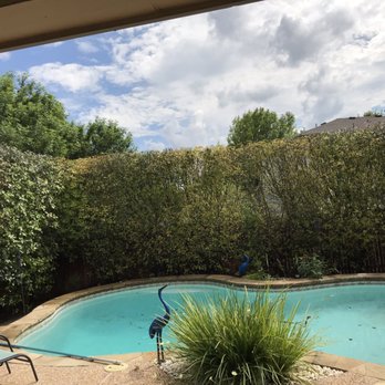 Rigo Tree Services - Tree Services Near Me