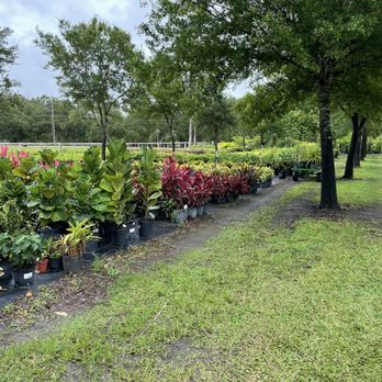 Sieffert's Nursery - Colorful plants - Nurseries & Gardening Near Me - Orlando, Florida