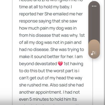 Lap of Love - What she 3 - Veterinarians Near Me Lap of Love - What she 3 - Veterinarians Near Me