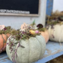 Farmer John's Pumpkin Farm