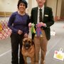Photo of The Green Dog