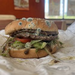 A&W Restaurant - MY FUCKASS SHIT TASTING BURGER TF.