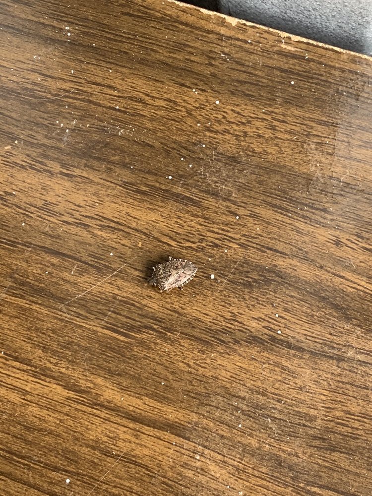 STORE & LOCK 14 Photos 51 Rd, Wrightstown, NJ Yelp