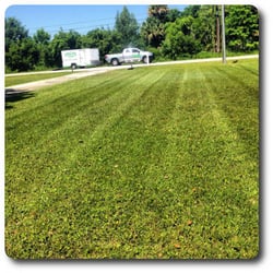Abaco Lawn Care