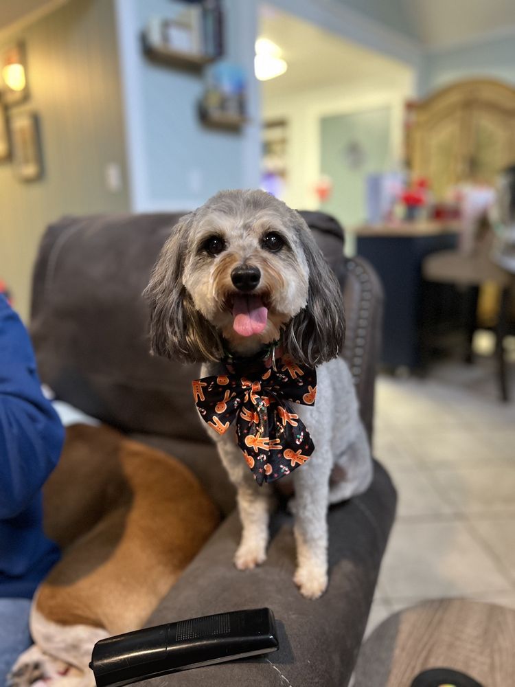 THE PET STOP Updated October 2024 25 S Franklin St, Eastpoint