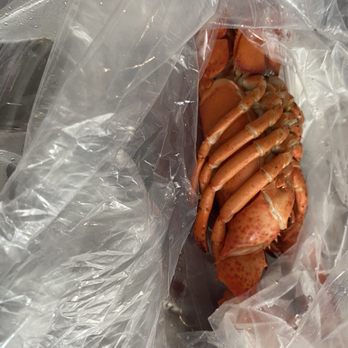Pinchin Crab - Lobster - Seafood Near Me - Missouri City, Texas Pinchin Crab - Lobster - Seafood Near Me - Missouri City, Texas