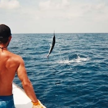 First Light Charter Boat - Fishing Near Me - Destin, Florida First Light Charter Boat - Fishing Near Me - Destin, Florida