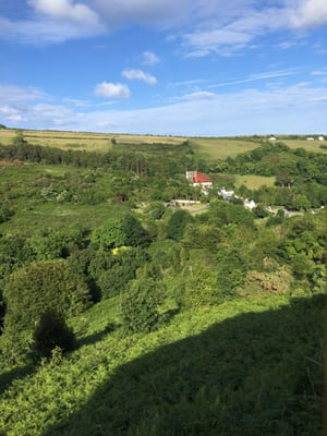 The Great Laxey Wheel by null