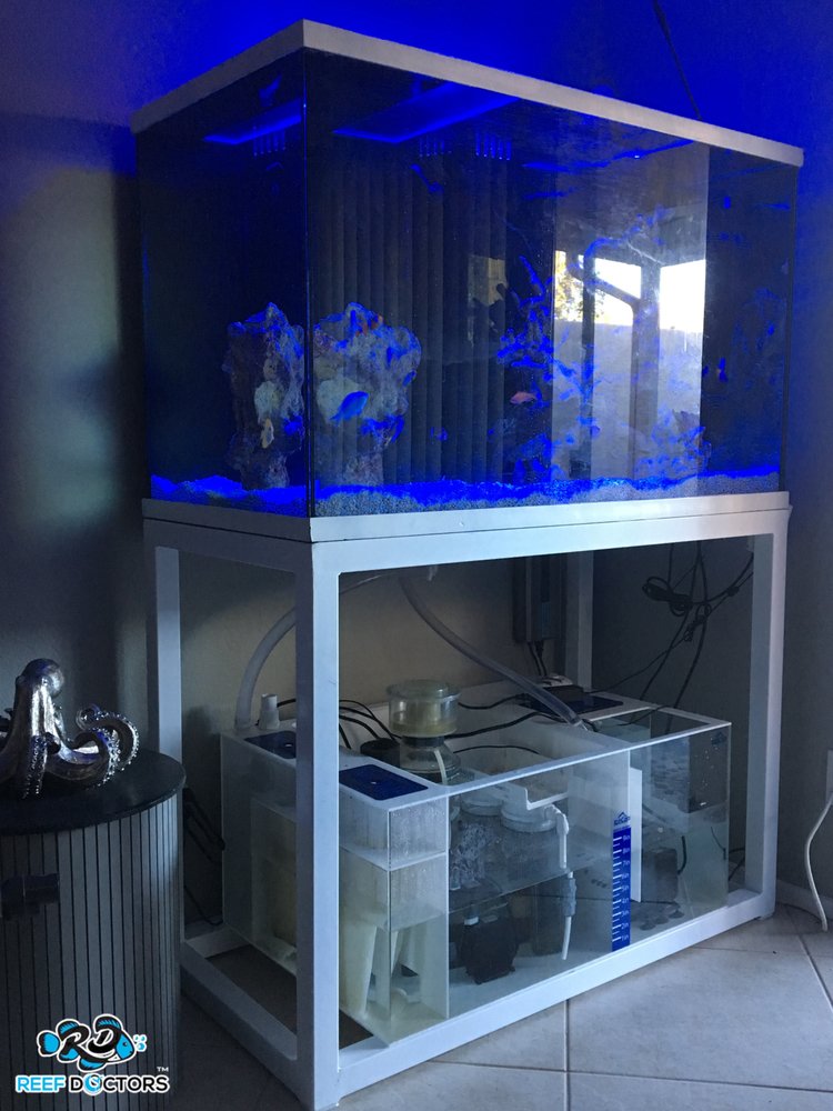 REEF DOCTORS Updated August 2024 17 Photos Scottsdale, Arizona